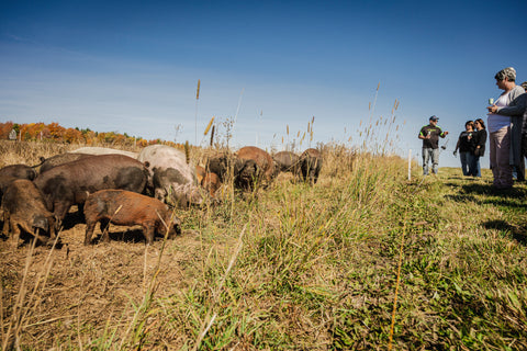 Événement VIP à la ferme (samedi 3 octobre 2026)